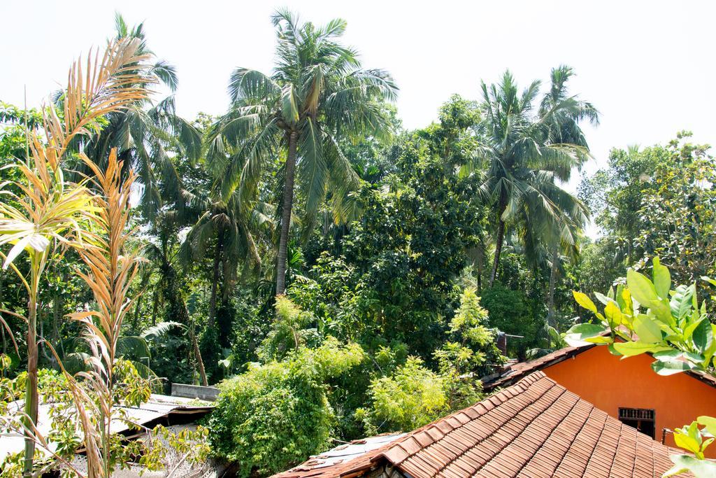 Garden Inn Mirissa Buitenkant foto