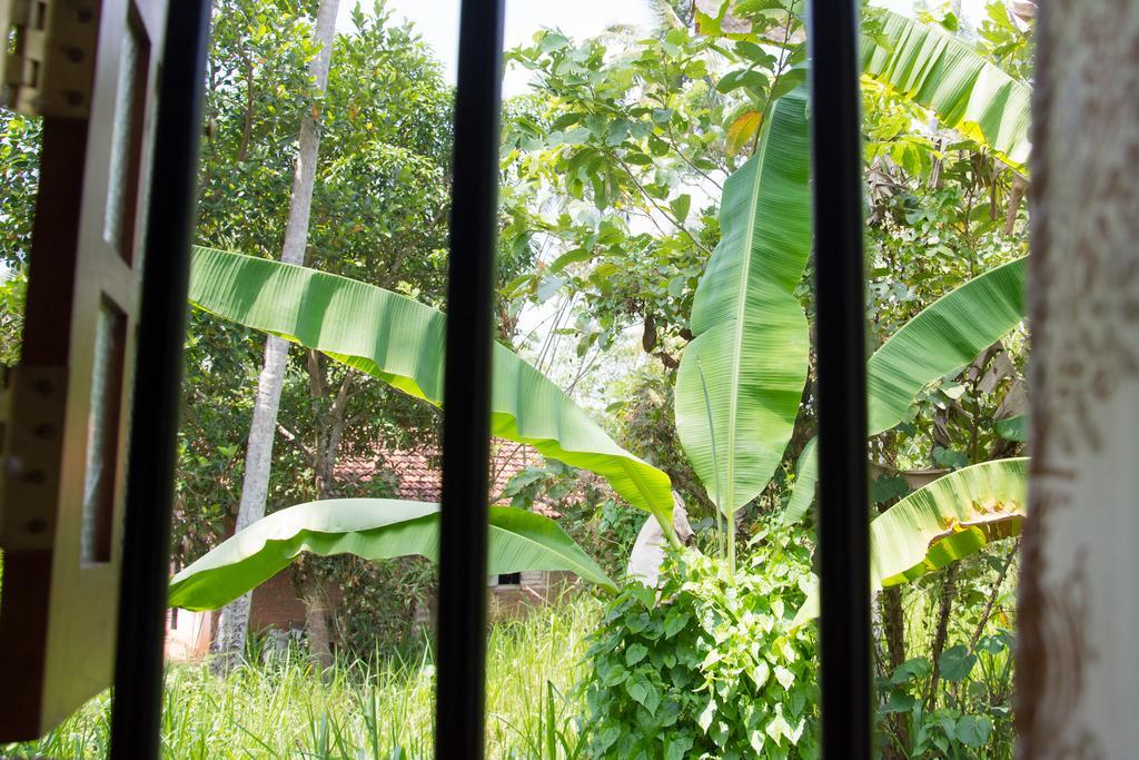 Garden Inn Mirissa Buitenkant foto